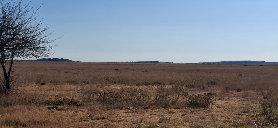  Bedroom Property for Sale in Bloemfontein Rural Free State